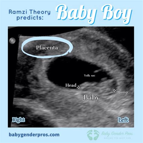 ramzi theory calculator|ramzi's theory for babies.